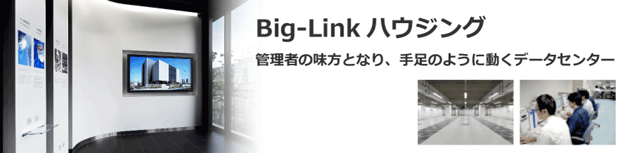 Big-Linkハウジング